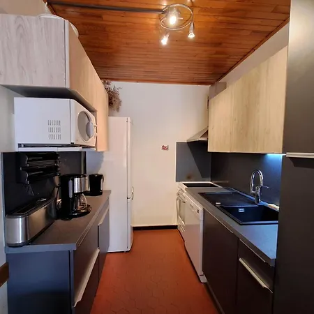 Apartment 8 Pers, Pres Des Pistes, Animaux Admis - Fr-1-516-5 *