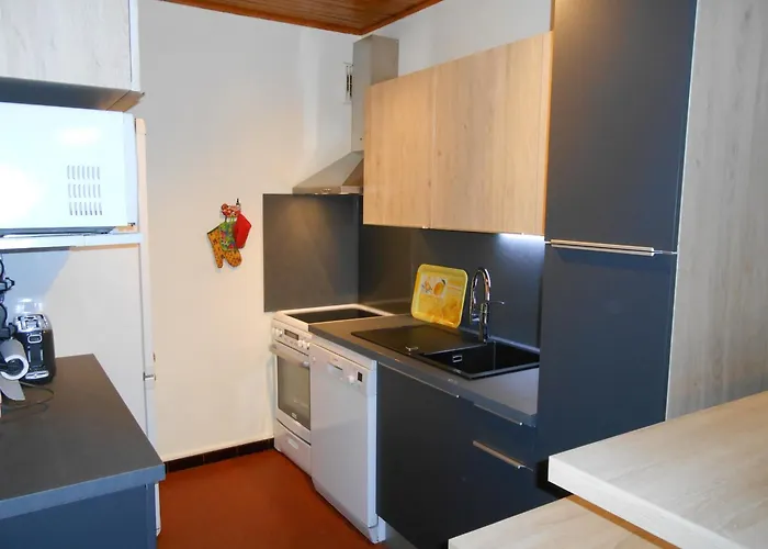 Apartment 8 Pers, Pres Des Pistes, Animaux Admis - Fr-1-516-5 *