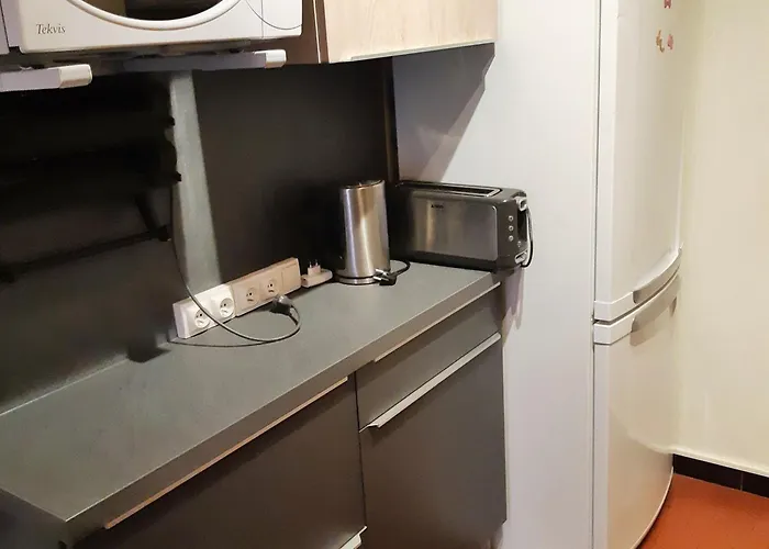 8 Pers, Pres Des Pistes, Animaux Admis - Fr-1-516-5 Apartment Les Deux Alpes